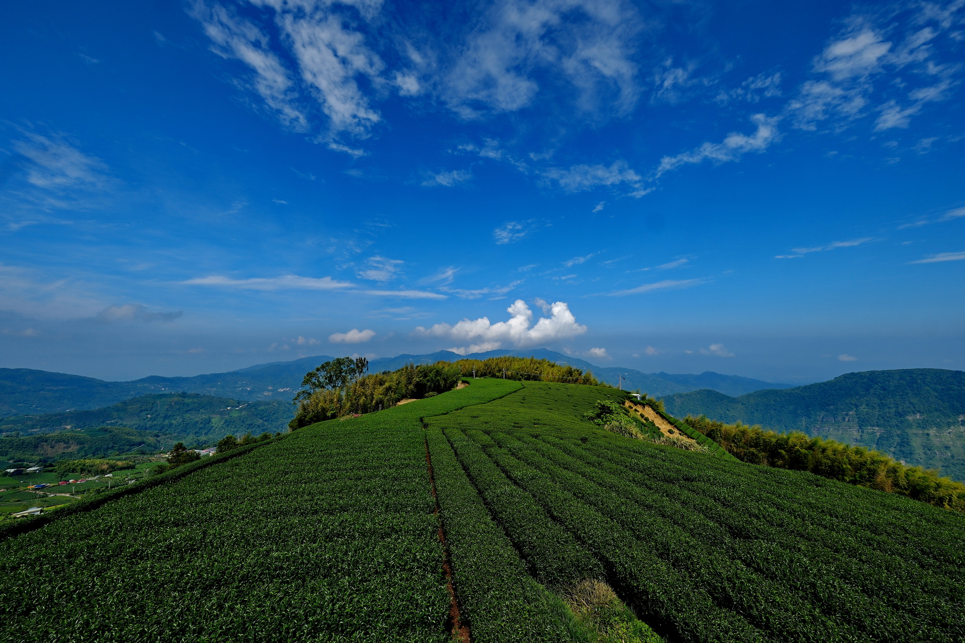 20240902‧茶叄代+茗園製茶所-004