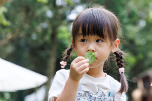 安妮公主花園