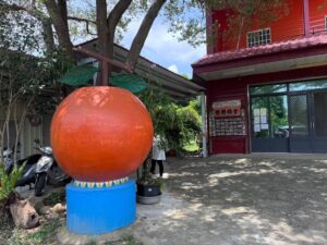 背影橘舍觀光果園